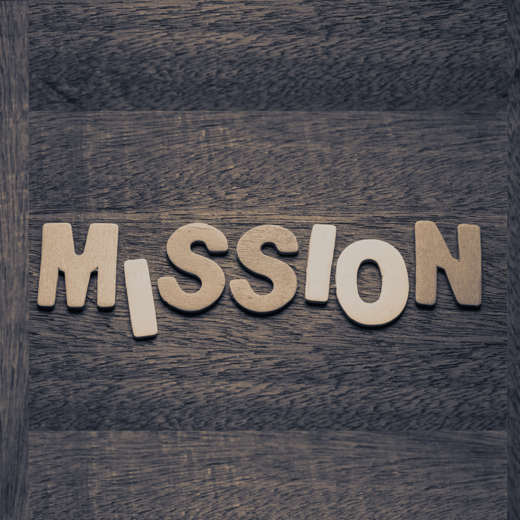 Olamsecom Mission